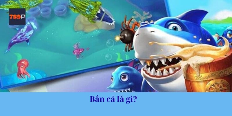 Bắn cá là gì?