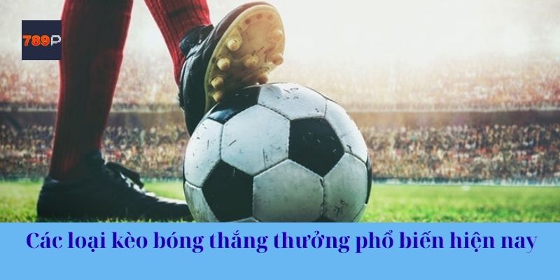 Các loại kèo bóng thắng thưởng phổ biến hiện nay