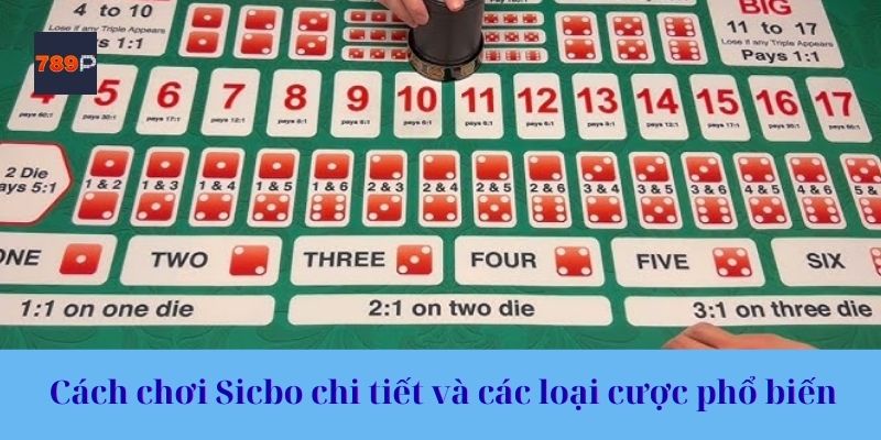 Cách chơi Sicbo chi tiết và các loại cược phổ biến