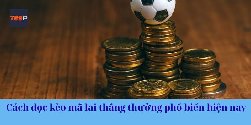 Cách đọc kèo mã lai thắng thưởng phổ biến hiện nay