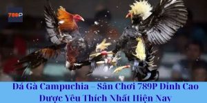 Đá Gà Campuchia – Sân Chơi 789P Đỉnh Cao Được Yêu Thích Nhất Hiện Nay