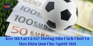 Kèo Mã Lai Là Gì? Hướng Dẫn Cách Chơi Và Mẹo Hiệu Quả Cho Người Mới