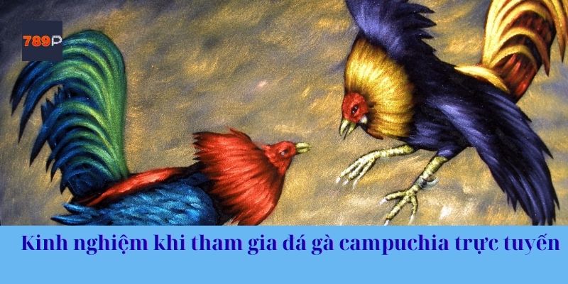 Kinh nghiệm khi tham gia đá gà campuchia trực tuyến