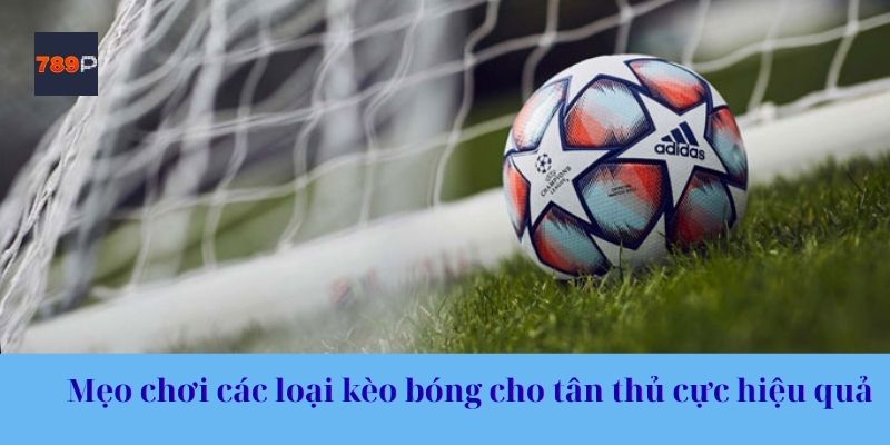 Mẹo chơi các loại kèo bóng cho tân thủ cực hiệu quả