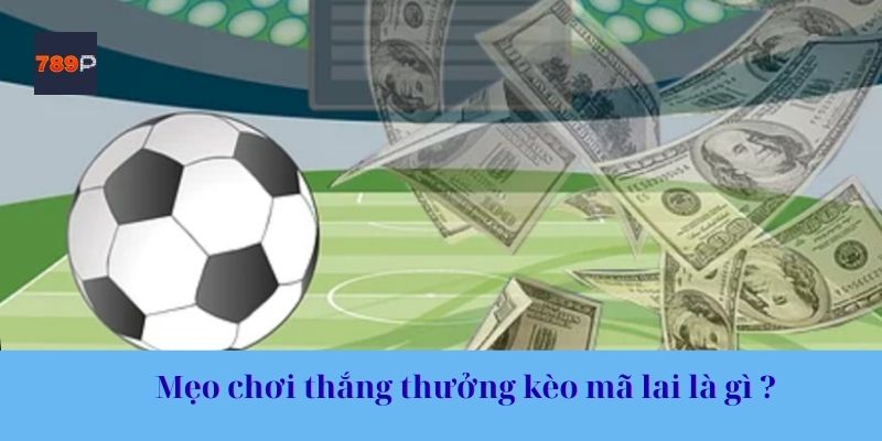 Mẹo chơi thắng thưởng kèo mã lai là gì ?