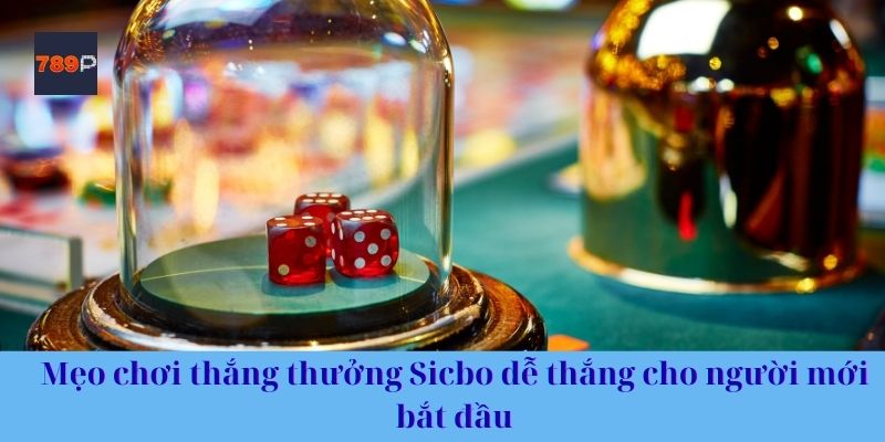 Mẹo chơi thắng thưởng Sicbo dễ thắng cho người mới bắt đầu