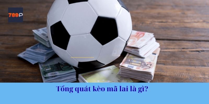 Tổng quát kèo mã lai là gì?